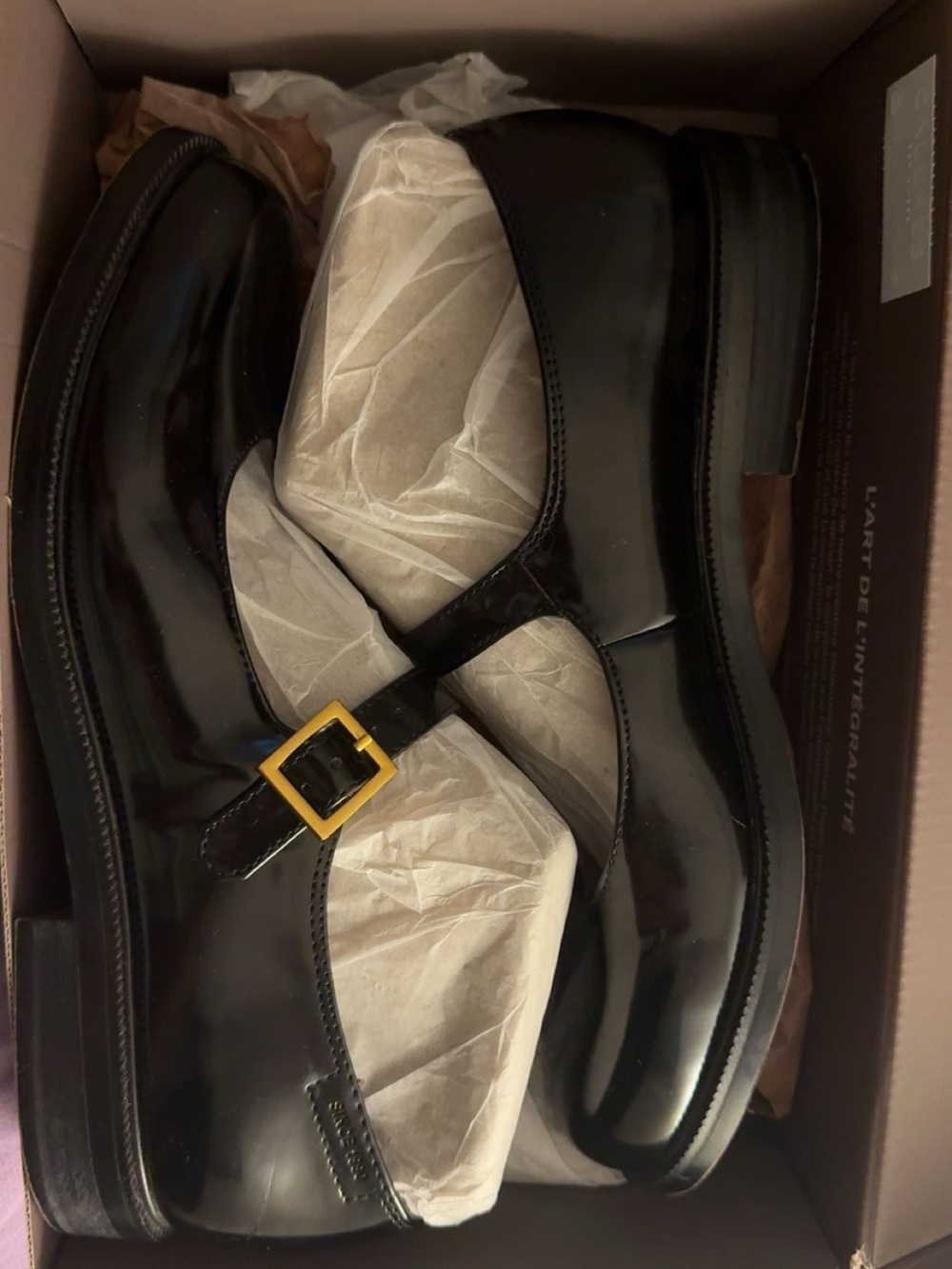 Franco Sarto Brown Box with Gold Logo
